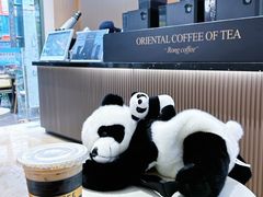-蓉小乔·RONG COFFEE(春熙路店)