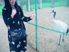 -盐城丹顶鹤湿地生态旅游区