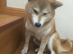 -SPARROW 家雀儿咖啡本店
