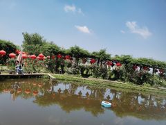 -同銮特种养殖场·龙虾垂钓