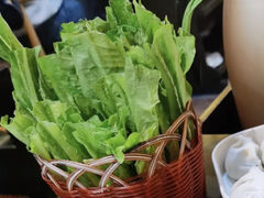 油麦菜-土著渔匠·养生蝴蝶鱼(香樟路店)