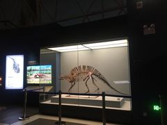 -湖南省地质博物馆