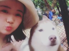 -TrueLove @ Neverland (Husky Cafe)