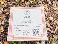 -岳王庙