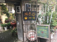 -猫色咖啡·猫咖