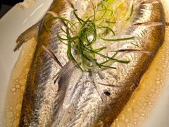 清蒸白鱼-姑苏家宴·苏帮菜·松鼠桂鱼(苏州总店)