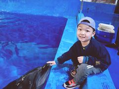 -华夏文旅海洋公园