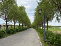 -呼兰河口湿地公园
