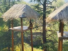 -云南野生动物园