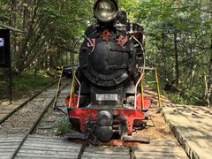 -五营红松林海景区