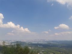 -灵顺寺
