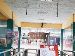 -百万葵园