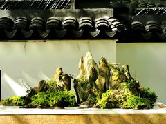 -上海醉白池公园