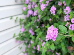 -华凌山庄·隐湖栖