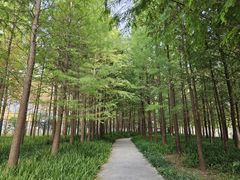 -上海山野camping·户外天幕烧烤·团建拓展营地
