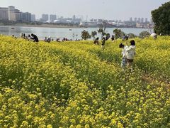 -九龙湖公园