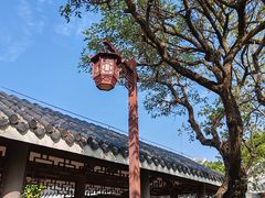 -大亚湾红树林城市湿地公园
