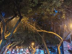 -小豆海棠(嘉兴路店)