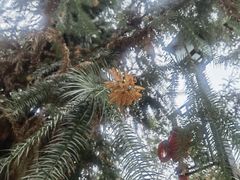 -韶关经律论国际酒店温泉