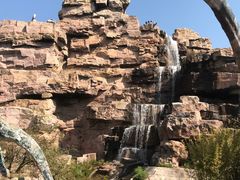 -世界恐龙谷景区