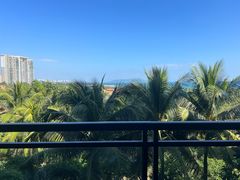 -海南清水湾莱佛士酒店