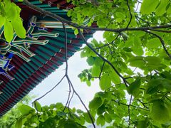 -青龙山生态文化旅游区