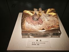 -青藏高原自然博物馆