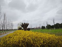 -汉长安城未央宫国家考古遗址公园