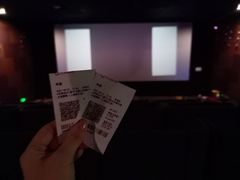 -大地影院(上海南汇店)