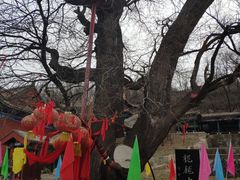 -封龙山风景区
