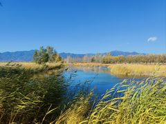 -野鸭湖国家湿地公园