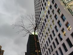 -杨三孃跷脚牛肉(清凤时代店)