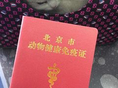 -北京派仕佳德动物医院·超导核磁·CT·神经科·骨科·内外科·急重症管理中心
