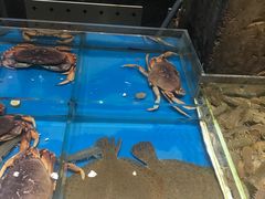 -百富源·海鲜辽菜(和平北大街店)