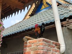 -曼丢傣家古寨