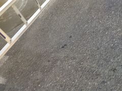 -良子足浴(湖滨店)