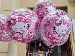 -安吉Hello Kitty乐园