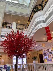 -禾丽康美医疗美容医院