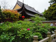 -龙华寺
