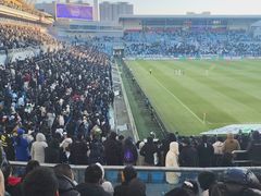 -泰达足球场