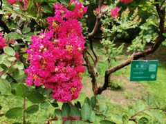 -北京动物园-畅观楼