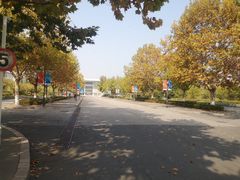 -山东外贸职业学院