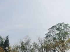 -南翠屏公园