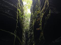 -梭布垭石林景区