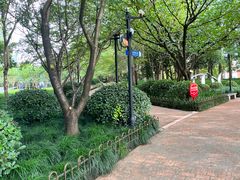 -陆家嘴中心绿地
