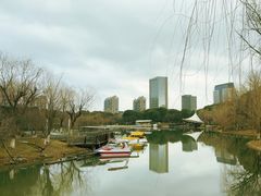 -桐乡植物园