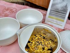 -西湖游船