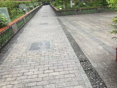 -广州神农草堂中医药博物馆
