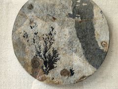 -房山世界地质公园博物馆
