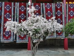 -西宁市东关清真大寺